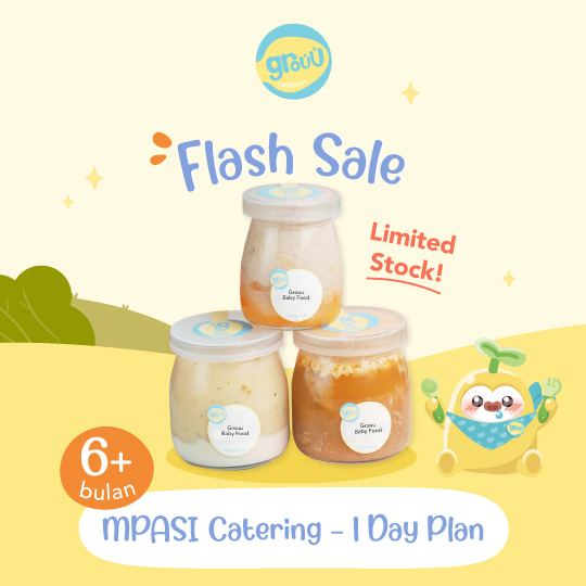 Flash Sale | MPASI 1 Day Plan